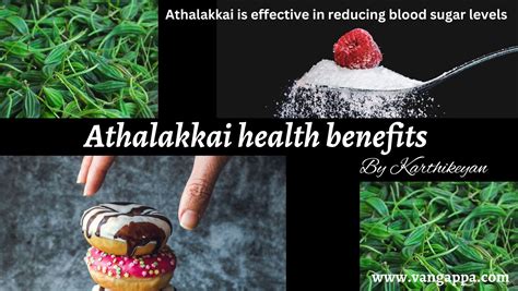 athalakkai|athalakkai benefits.